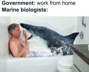 biologist work home