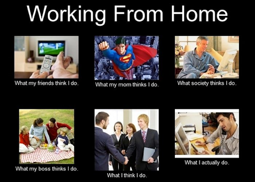 Funny Work From Home Employee Remote Worker Notebook: Funny