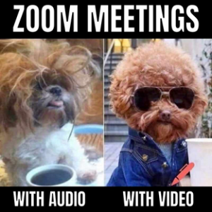zoom meetings