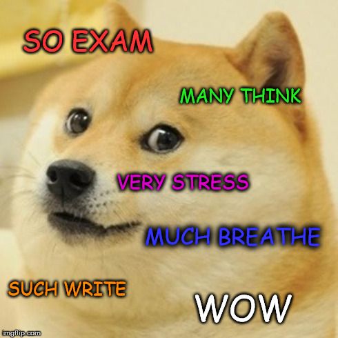 doge meme