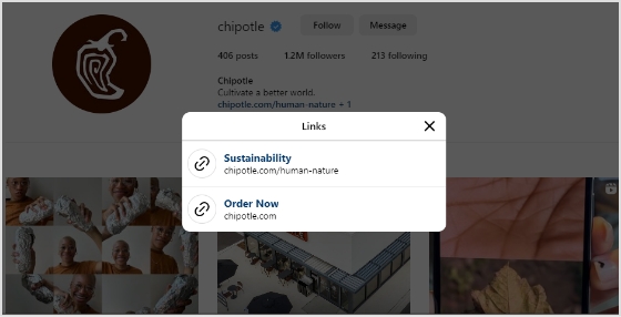 Chipotle-Link-in-bio-example
