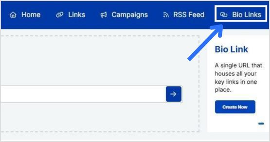 Click on bio links in the Replug dashboard