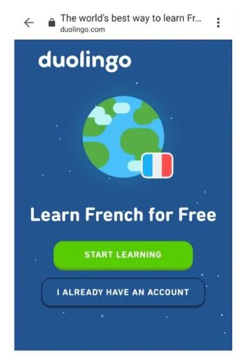 Duolingo website