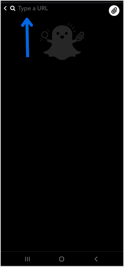 Enter snapchat URL