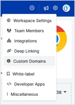 Custom domains